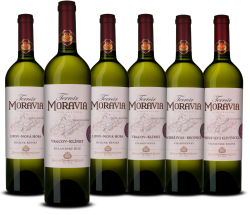 Terroir Moravia 2009 - 2015