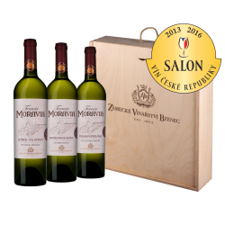 Zlaté medaile ze Salonu vín ČR 2016 a 2013